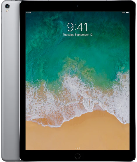 Apple iPad Pro 12.9" 2nd Gen 256GB Wi-Fi + 4G Unlocked Space Grey Pristine