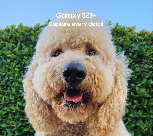 SAMSUNG Galaxy S23+ - 256GB, Phantom Black - Pristine - Image 11